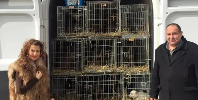 НЕЛЕПО! Илиана Раева се прави на зоозащитничка с кожено палто (СНИМКИ)