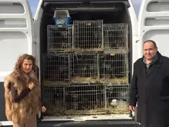 НЕЛЕПО! Илиана Раева се прави на зоозащитничка с кожено палто (СНИМКИ)