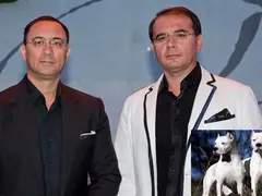Кучета убийци пазят лимузините на братя Диневи, 4 бона на месец струва издръжката на двата песа!