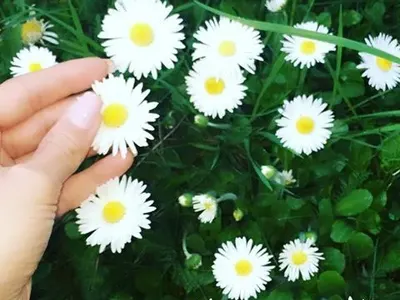 Романтика! Гаджето на Преслава я обсипа с целувки и рози. Мило й се обясни в любов + двамата са готови за дете! (Много шашава история с просълзяващи снимки)