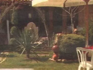 Вижте палата на Канарите в Катуница, в който Джена се шири (Снимки)