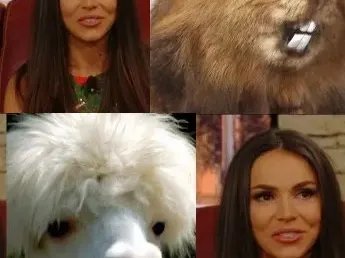 Сравниха Алисия със сладко хамстерче + защо певицата показа мръсни нокти в реклама на боди скраб (Шокиращи снимки)