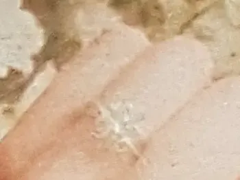 Маргарита Будинова се сгоди за бивш на Райна (Снимки)