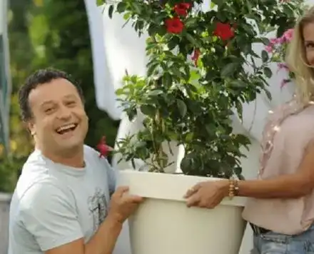 Скандални разкрития: Димитър Рачков и Мария Игнатова разделени заради таен аборт! Бебето не било от комика