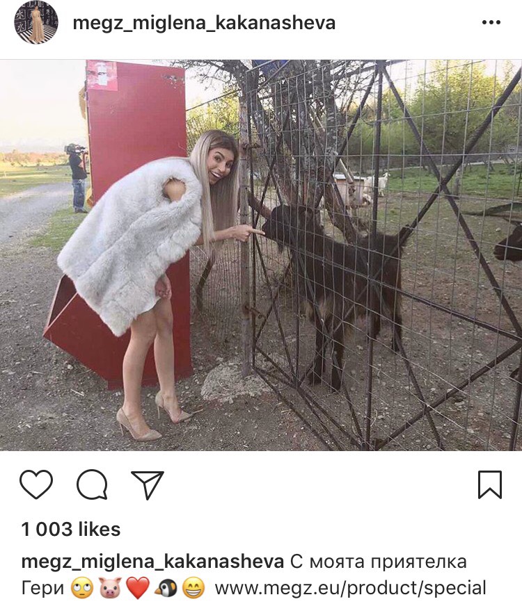 Мегз колекционира диви животни (Снимка)