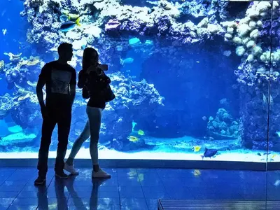 Александра Богданска показа бедър и гърди в Монако без бански! Вижте с какво го замени срещу 300 лв.! (СНИМКИ)