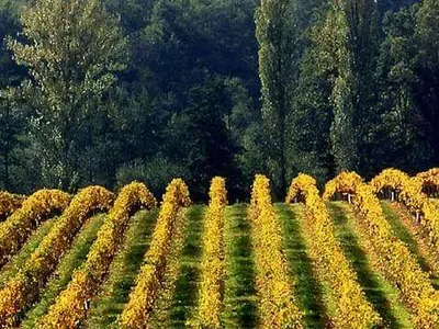 Ексклузивно! Роман Абрамович пристига в България