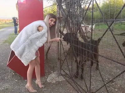 Мегз колекционира диви животни (Снимка)