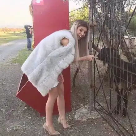 Мегз колекционира диви животни (Снимка)