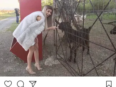 Мегз колекционира диви животни (Снимка)