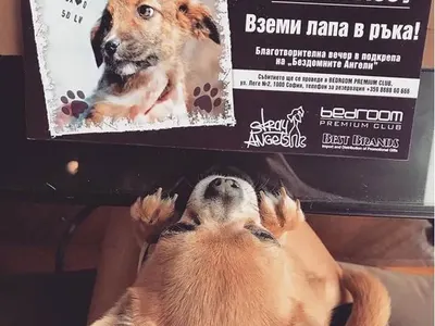 Новата майка Тереза! Николета просълзи всички с този надпис на потничето й! (ФОТО)