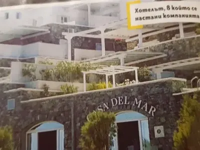 Мая Илиева купонясва с приятели на Миконос (Снимки)