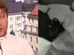 Спират „Гълъбо“ след скандал за пари! Авторката бясна: Ще вдигна във въздуха всичко!