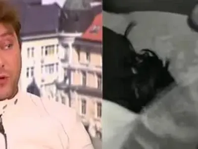 Спират „Гълъбо“ след скандал за пари! Авторката бясна: Ще вдигна във въздуха всичко!