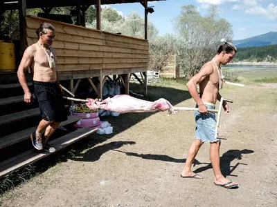 Агънцето Жорко от „Фермата“ ще стане чеверме