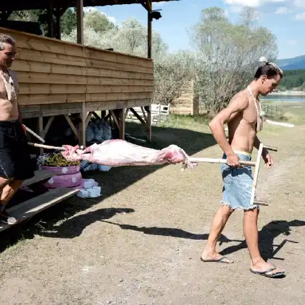 Агънцето Жорко от „Фермата“ ще стане чеверме