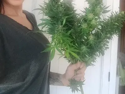 Цеци Красимирова халюцинира от новата реколта! Трева-гигант побърка метресата на Самоковеца! (Снимки)