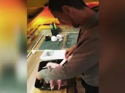 Лудия репортер стана домакиня (Снимка)