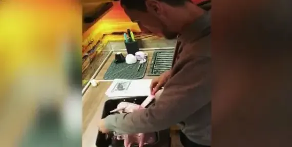 Лудия репортер стана домакиня (Снимка)