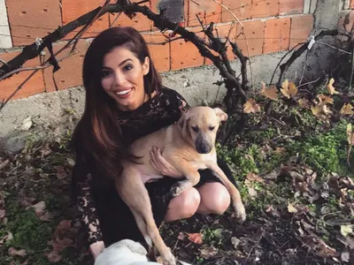 Мегз пак изуми - учи се на любов от... бездомни кучета