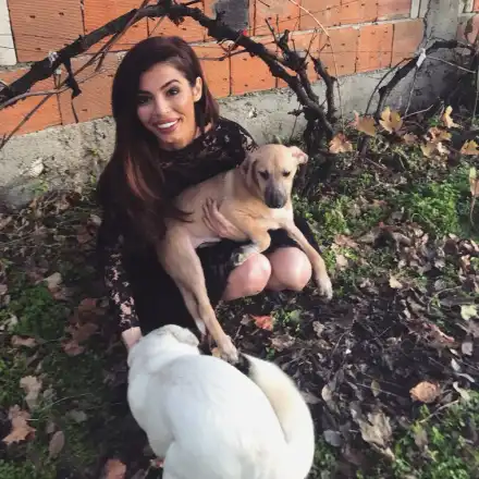 Мегз пак изуми - учи се на любов от... бездомни кучета