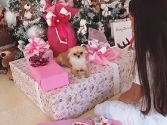 Дядо Коледа поднесе подаръците на Никол и Николета! (Коледни снимки)