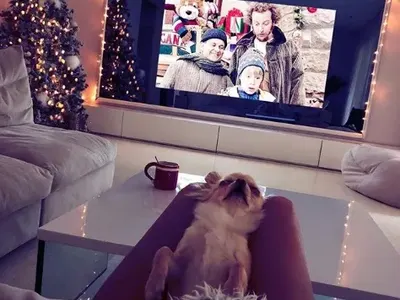 Дядо Коледа поднесе подаръците на Никол и Николета! (Коледни снимки)