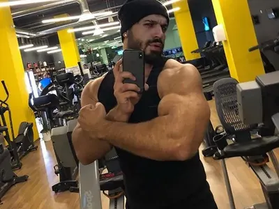 Фики Стана звяр