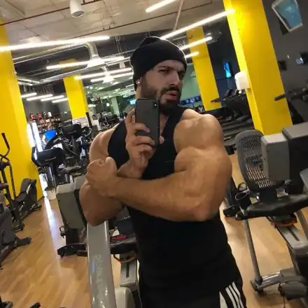 Фики Стана звяр