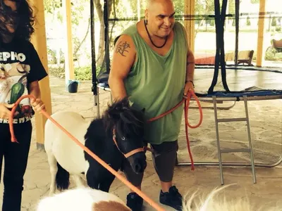 Лорд Минчев пусна Гилотината: Петканови се разпищолиха модно, магаренце конкурира Фънки, Ажда с палто като балони + още и СНИМКИ