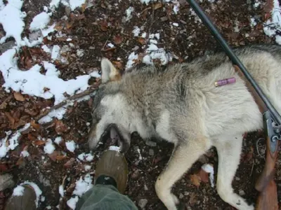 Мъжът на Биляна Йотовска с покъртителен разказ: Аз убих, но после се случи нещо, което ме разтърси! (Вижте цялата уникална история)