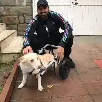 Азис превръща дома си в кучкарник