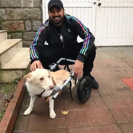 Азис превръща дома си в кучкарник