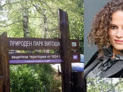 Белослава опита да заграби с шашма10 декара на Витоша! Щяла да строи хотел, а се води природозащитник