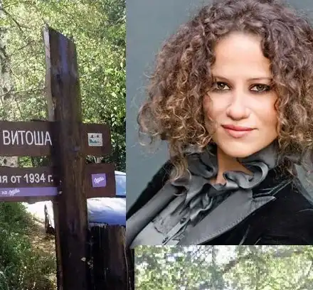 Белослава опита да заграби с шашма10 декара на Витоша! Щяла да строи хотел, а се води природозащитник