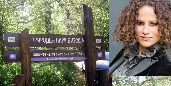 Белослава опита да заграби с шашма10 декара на Витоша! Щяла да строи хотел, а се води природозащитник