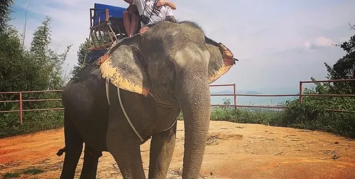 Ексклузивно! Преслава и Павел вдигат сватба! Вижте кога ще е събитието + как тя му се обясни в любов от слон