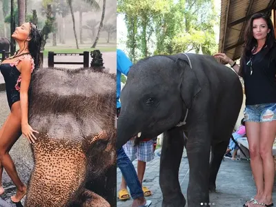 Коя стои по - добре  до слончето? Николета VS Преслава! (Снимки)