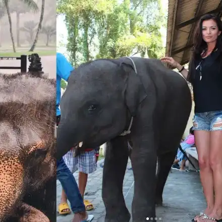 Коя стои по - добре  до слончето? Николета VS Преслава! (Снимки)