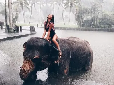 Коя стои по - добре  до слончето? Николета VS Преслава! (Снимки)