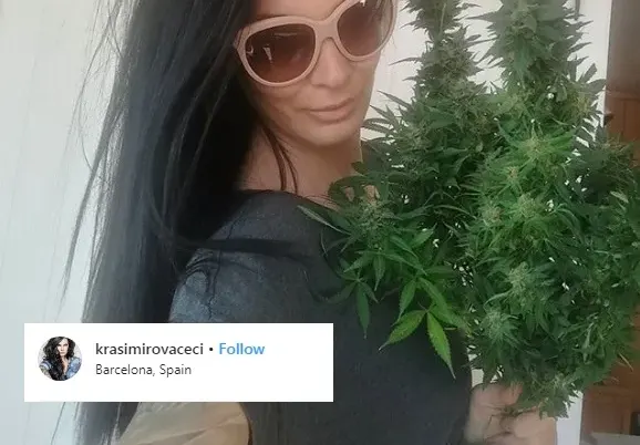 Не е за вярване какво докарва на Цеци Красимирова 7 бона месечно! У нас то е незаконно (Подробности)