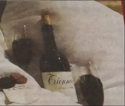 Ани Салич с тайно гадже