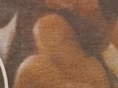 Биляна се снима в леглото (Фото)