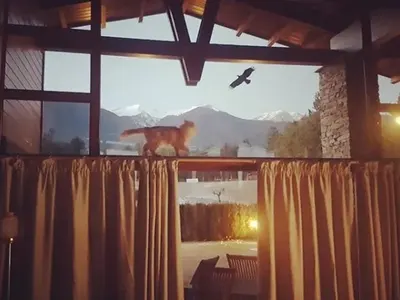 Гала разори мъжа си! Стефан й купи тузарски апартамент за 200 бона в Банско (СНИМКИ)