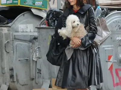 НОВО 20! Цветелина Бориславова  ходи с болонката си на работа