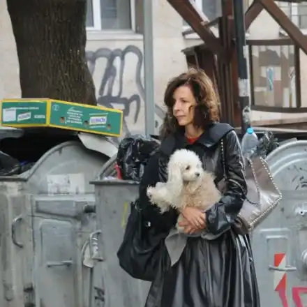 НОВО 20! Цветелина Бориславова  ходи с болонката си на работа