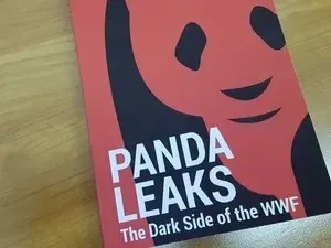 ATTEMPTS TO COUNTER THE NATURE IN THE COUNTRY AGAINST MILLIONS