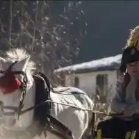 Камелия аха да се пребие от каруца на снимките на „Скъпи наследници“