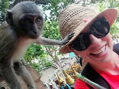 Маймуни нападнаха Нелина! Пръсна 10 бона за 2-седмична почивка за екзотична екскурзия