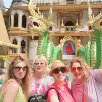 Нелина чукна ЧРД върху слон